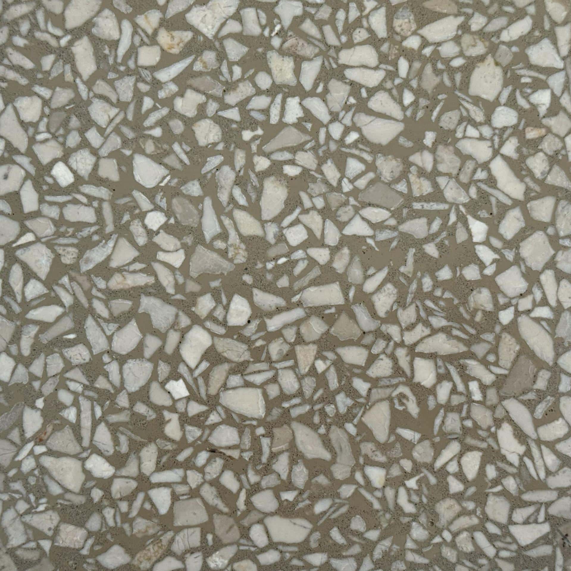 Terrazzo floor sample
