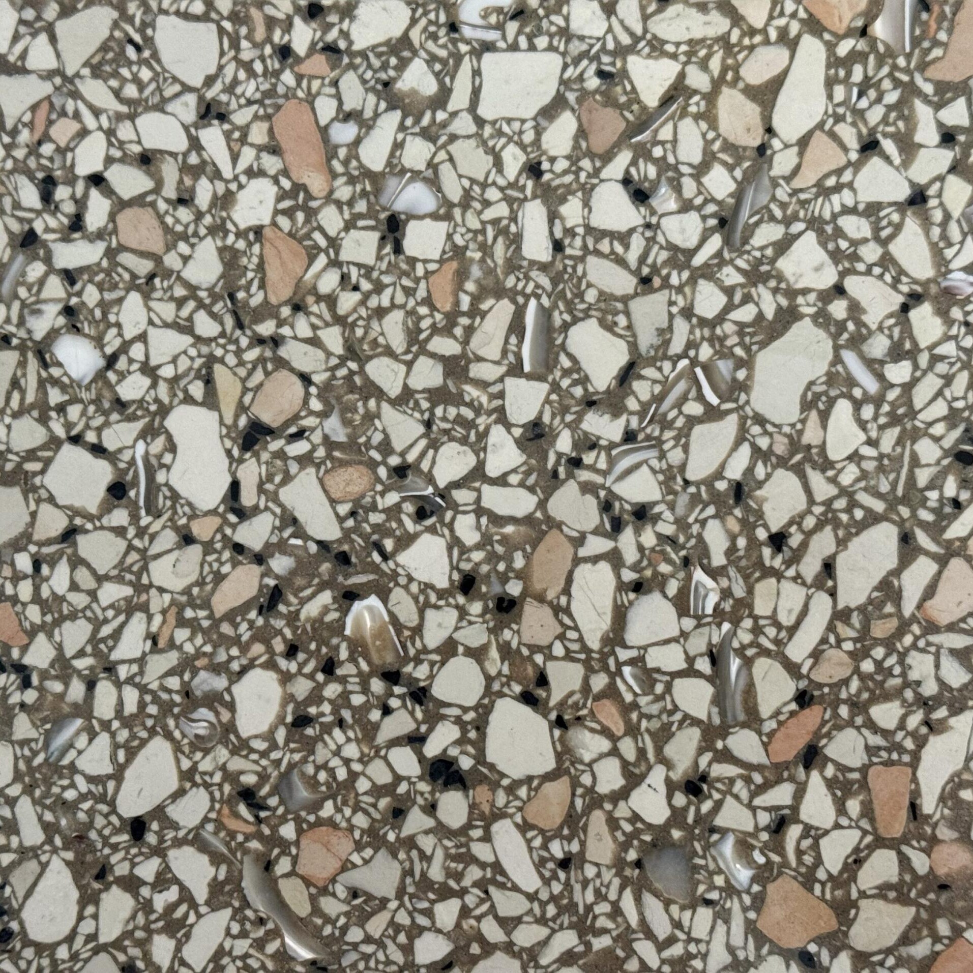 Terrazzo floor sample