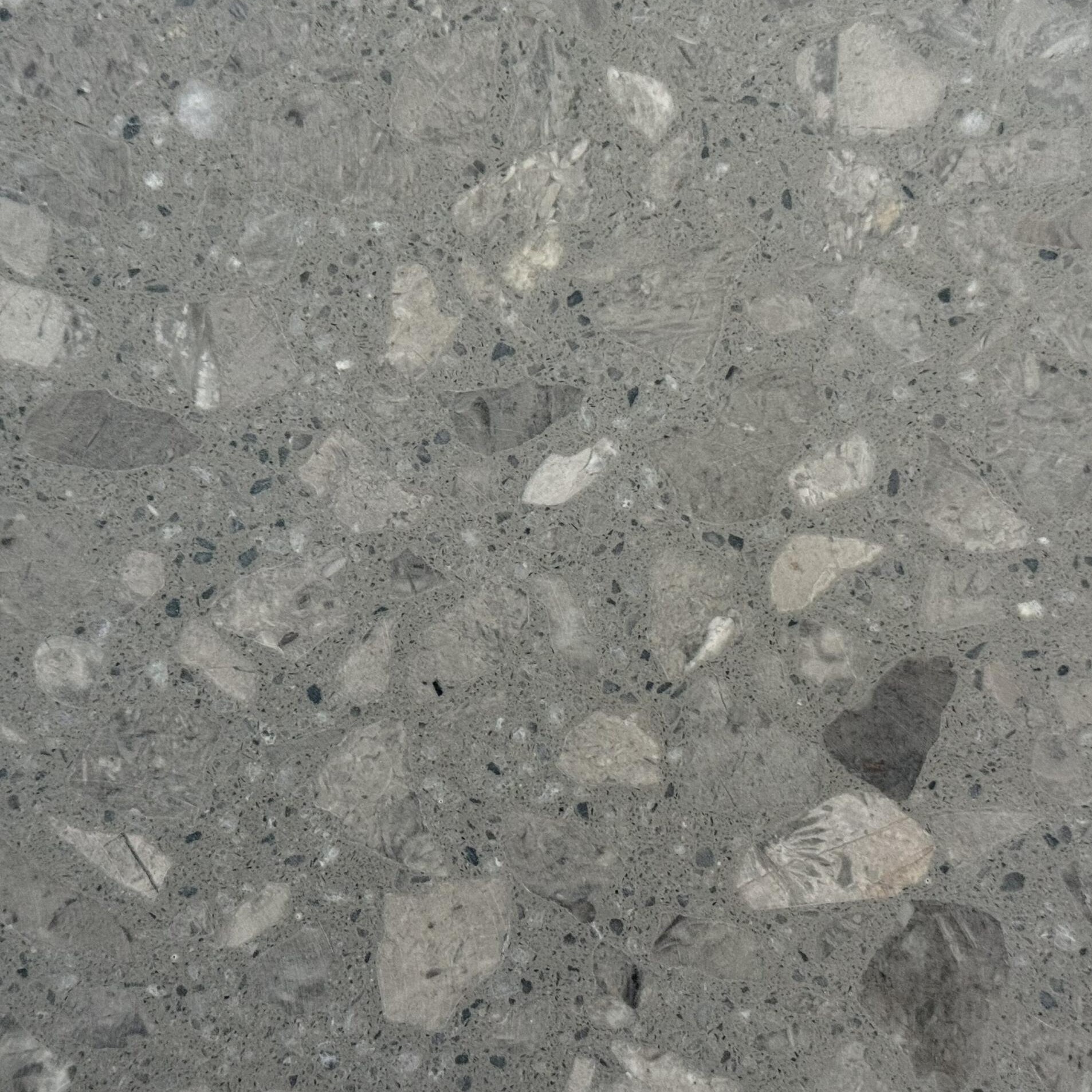 Terrazzo floor sample
